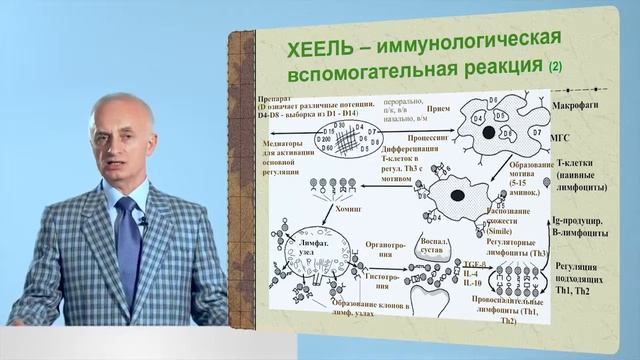 Концепция HEEL или антигомотоксическая терапия смотреть онлайн