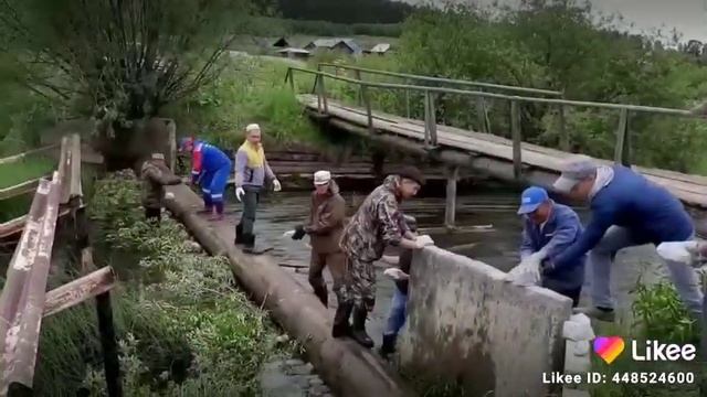 Ремонт плотины в деревне Контуганово (Свердловская область) смотреть онлайн