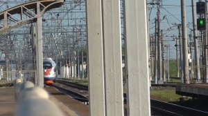 сапсан летит всем боятся
