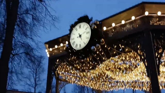 город Коломна - район Запруды - парк Запруды. Ещё остались новогодние украшения. смотреть онлайн