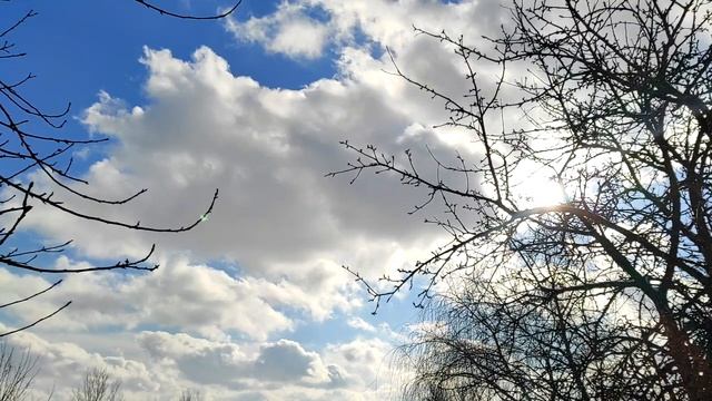 Используйте мысли, чтобы исцелить себя. Физика и никакой магии. смотреть онлайн