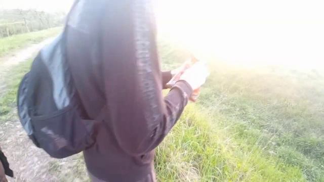 Реклама Читос (Cheetos)