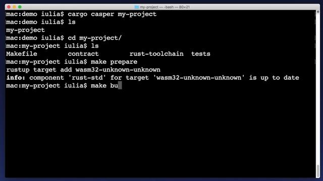 Casper Association | Writing On-Chain Code | 2. Getting Started смотреть онлайн