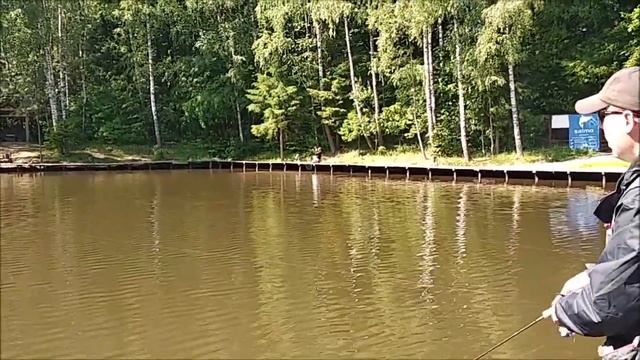 Форель реагирует на активную проводку. Рыбалка на спорт зоне. Клёвое место лосиный остров. смотреть онлайн
