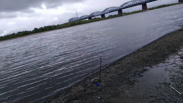 Городская рыбалка, после работы, ЛЕЩЬ, ЯЗЬ, ОКУНЁК смотреть онлайн