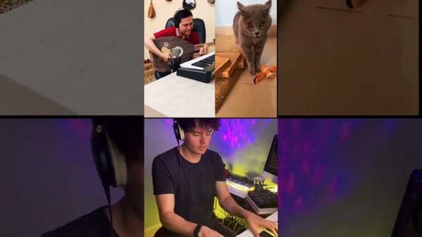 Luga Luga Cat TikTok Chain but its actually good lol