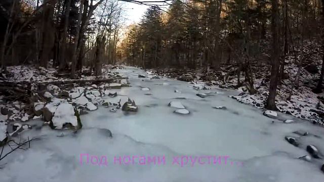 Вниз по Смольному ручью от беседки "ушуистов". смотреть онлайн