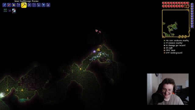 I Hate Bees So So Much