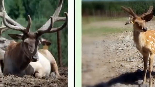 Молодежное телевидение в поселке Висим смотреть онлайн