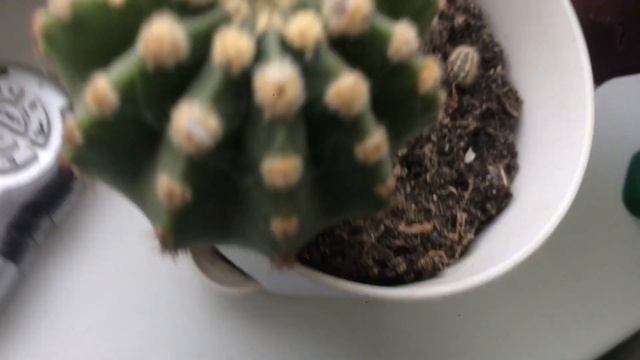 Короче говоря ПЕРВЫЙ СНЕГ ❄️ смотреть онлайн