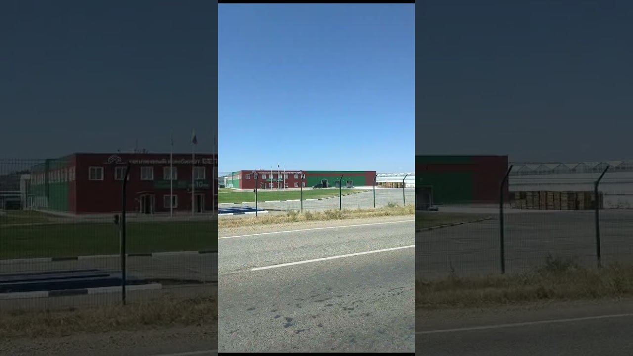 Белореченск, тепличный комбинат. смотреть онлайн