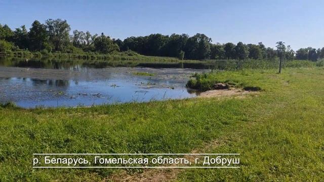 Отдых на пляже в Беларуси, Гомельская область, город Добруш, 2021 год смотреть онлайн
