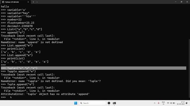 Python Basic for Beginer смотреть онлайн