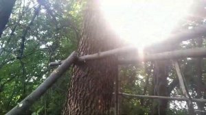 Построили шалаш в лесу своими руками.