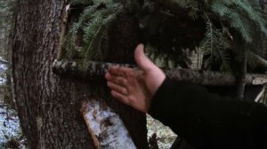 Промысел 2020-2021*Охота на Соболя*Мини кулема ОЧЕНЬ УЛОВИСТАЯ ЛОВУШКА*