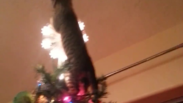 рождественские коты смотреть онлайн