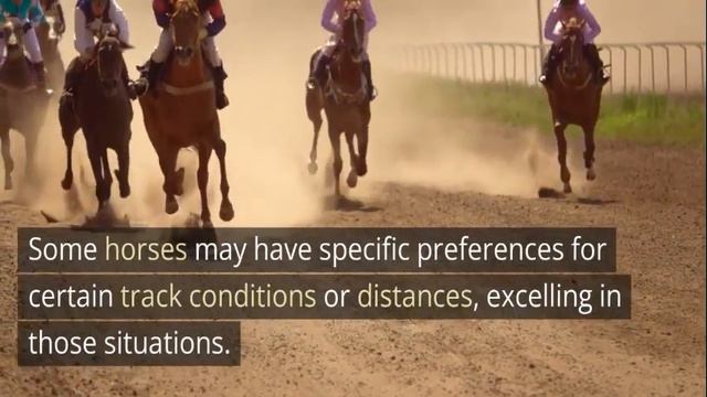 How to Find a Value Horse with Daily Racing Form Past Performances смотреть онлайн