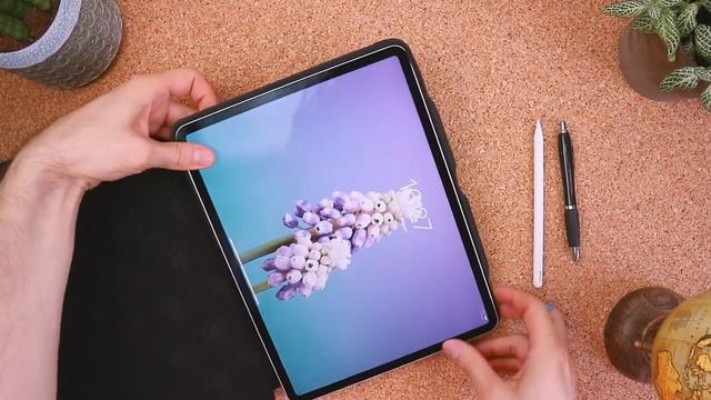 Top Two Cases For Apple IPad Pro 12.9 (6th/5th/4th Generation) For Me... Comparison Review