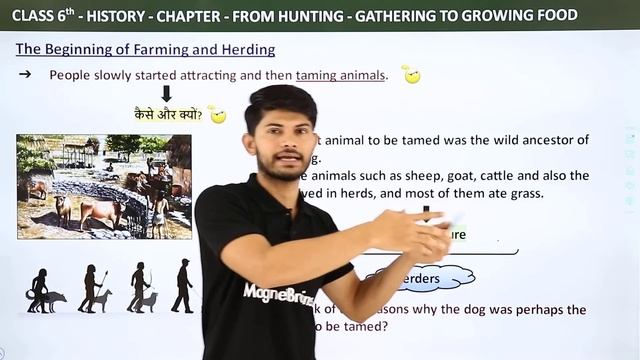 From Hunting-Gathering to Growing Food - Full Chapter Explanation | Class 6 History Chapter 2 смотреть онлайн