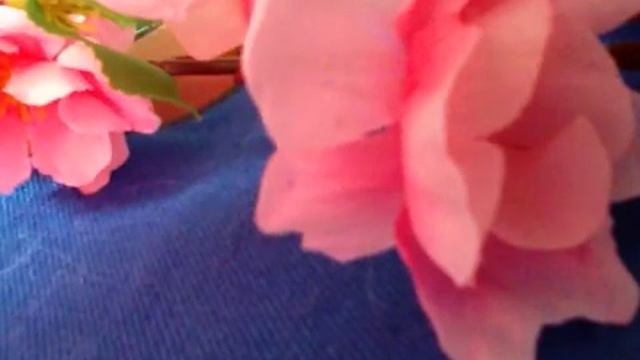 202 Часть 6..☘🤔🎀АСМР🌷ASMR🤔💝. Значение Вашего Имени 💕Тихий голос👂🏻quiet voi смотреть онлайн