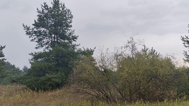 19 октября праздник Фомин день. Фома Неверующий. Главные правила и запреты дня. Именинники дня. смотреть онлайн