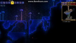 Terraria Как быстро поймать трюфельного червя