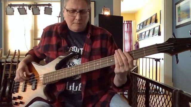 Black Velvet(Alannah Myles)Bass Cover смотреть онлайн