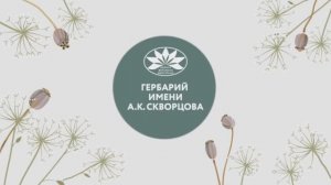 Документальный фильм «Гербарий им. А.К. Скворцова ГБС РАН»