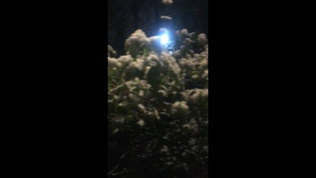 Неожиданная зима в Москве. Начало мая смотреть онлайн