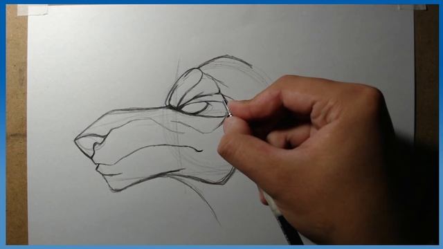 como desenhar Anubis passo a passo смотреть онлайн