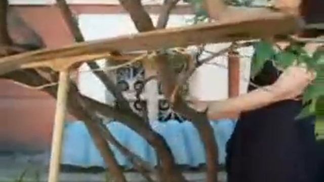 Как исправить куст сирени ч 1 смотреть онлайн