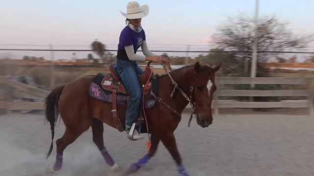 Si nunca has montado a caballo, este video es para ti 🤠 / TUTORIAL COMO MONTAR 🐴 смотреть онлайн