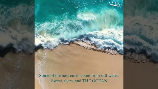 Thalgo Marine Cosmetics смотреть онлайн