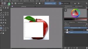 Основы выделения в редакторе Krita