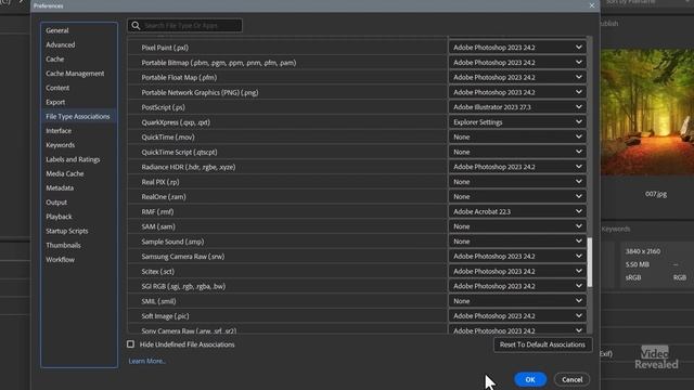 Adobe Bridge 2023 Update смотреть онлайн