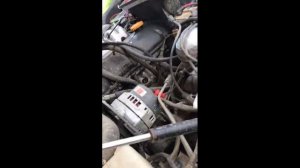 димексид против нивы