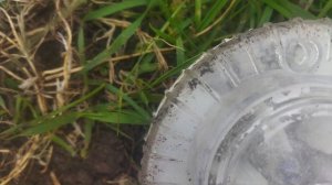 Морковь сею сеялкой- барабашка с  черенком. Главное отрегулировать еë и приготовить почву.