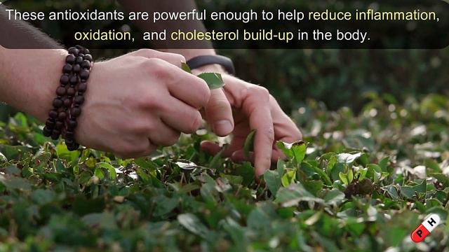 5 Amazing Foods That Can Clean Your Arteries Naturally and Prevent Heart Attack смотреть онлайн