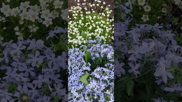 За окном❄⛄, а так хочется тепла?