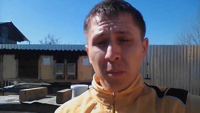 Курятничек.(БЕЛЫЙ КРОЛИК).