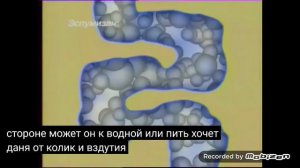 эспумизан 2008 реклама