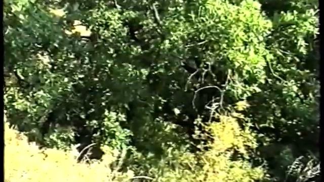 Волжский плавучий университет на Волге I, 1998 г. смотреть онлайн