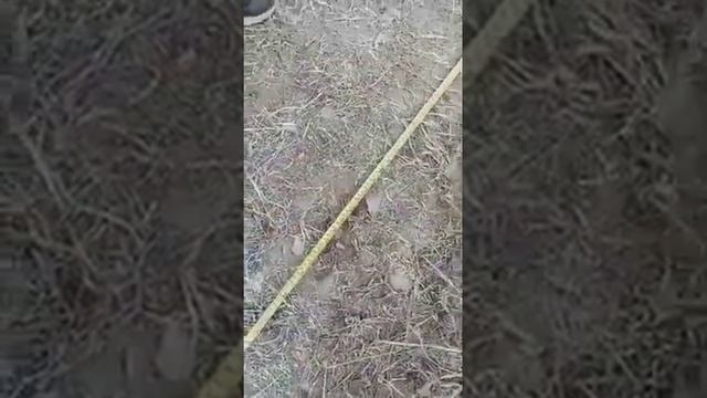 Signum mfd air test смотреть онлайн