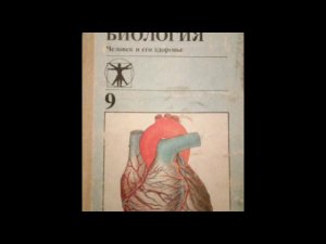 #54 Сон и бодрствование. Предупреждение нарушений сна. Биология. А. М. Цузмер