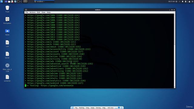 3.6. Web Application Assessment Tools - DIRB смотреть онлайн