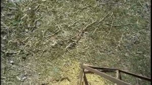 Измельчитель из болгарки 2.4 kW