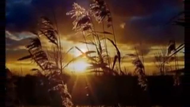 Bonnie Tyler - Total eclipse of the heart [BG sub] смотреть онлайн