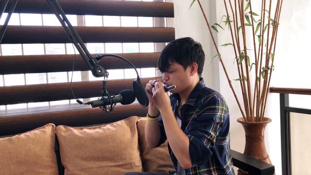Nothing's Gonna Change My Love for You - Harmonica cover смотреть онлайн