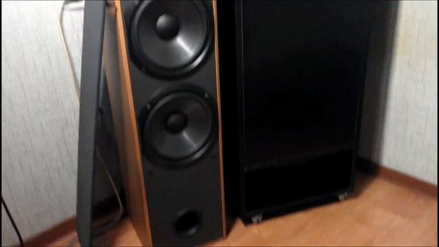 Самодельные колонки TQWP на базе 150гдш-35-8 НОЭМА смотреть онлайн