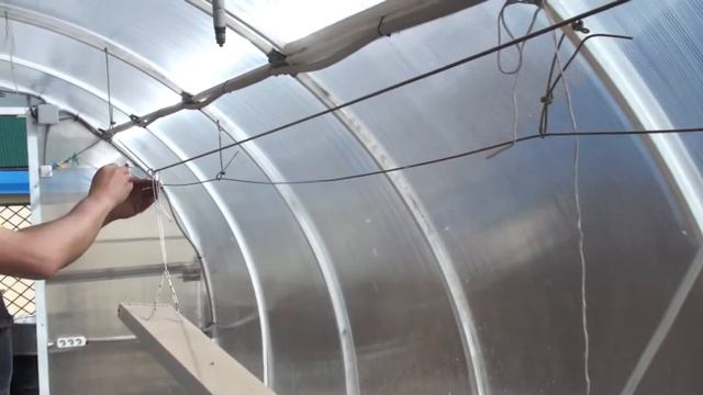 Индоутки, Содержание, Часть-20. Уборка теплицы после зимовки индоуток